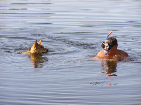 dog and man in the underwater mask swim and look at each other. Dog thinks that the man sinks and swims to save him. 