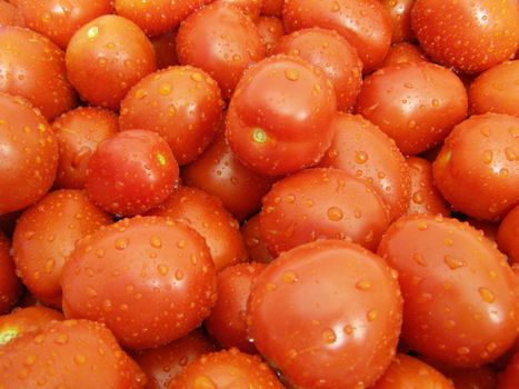 the washed red tomatoes await conservation. 