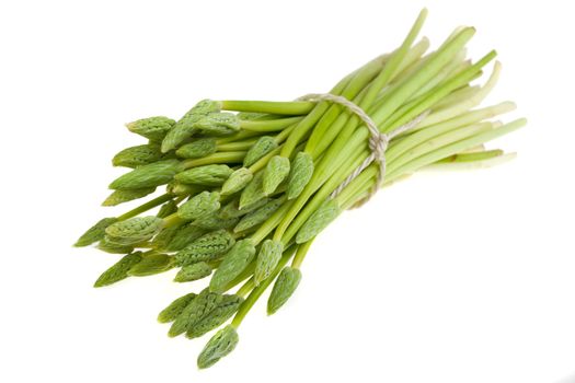 bunch of wild green asparagus