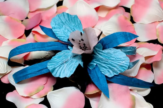 A blue artificial orchid and pink rose petals on black
