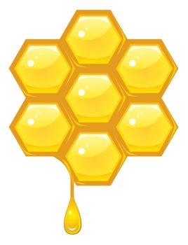 Honeycomb vector
