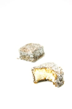 Lamingtons isolated against a white background