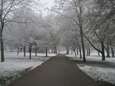 Snowfall in a London park
