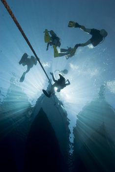 Silhouette shot of scuba divers at the bow of a dive boat. Red Sea, Egypt.