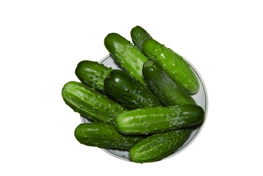 Cucumbers on a plate, it is isolated on a white background