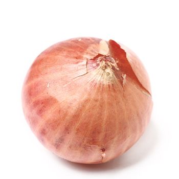 shallot