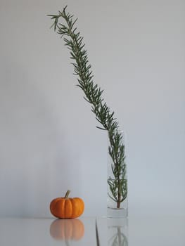 small pumpkin and rosemary