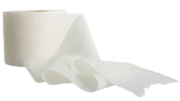 Roll of the toilet paper on the white background