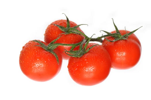 Bunch of fresh tomatoes with water drops. Isolated on white with clipping path