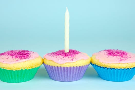 Cup cakes isolated against a blue background