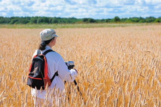 Woman pursuing research in the wheat field