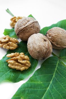 Walnut kernels with leaves over white