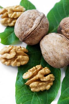 Walnut kernel and green leaves over white