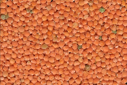 macro shot of red lentils background