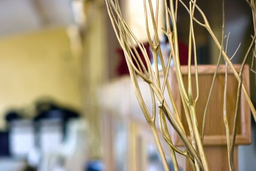 Dried plant branches as decoration in the restaurant