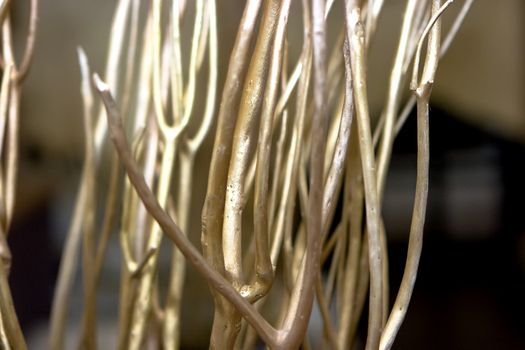 Dried plant branches as decoration in the restaurant