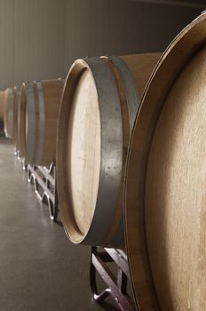 New french oak casks in a winery, Alentejo, Portugal