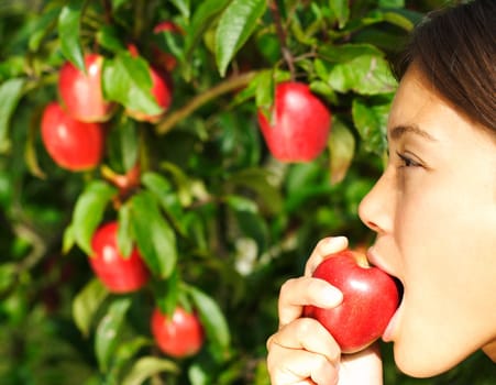 Woman eating apple in front of apple tree. Profile close-up of beautiful mixed race woman. 