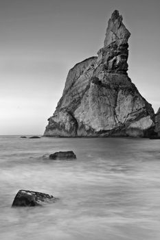 coast in the summer day