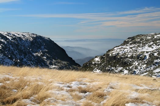 cold winter landscape with snow