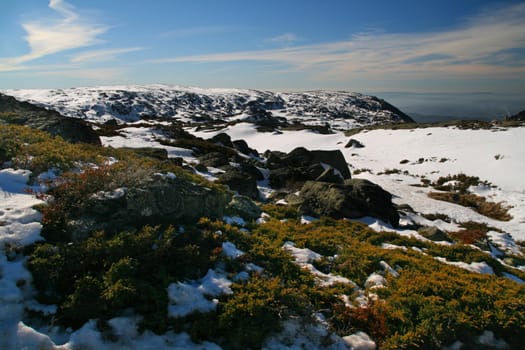 cold winter landscape with snow