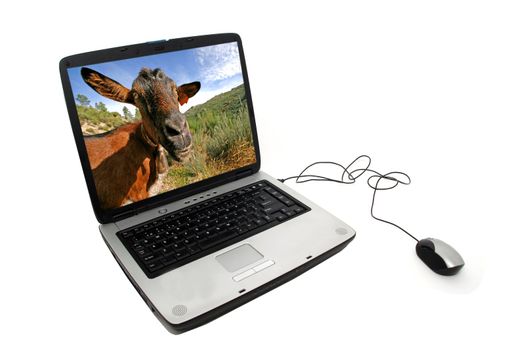 Portable Pc over white background