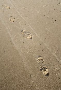 track of foodprints and a buggy in the sand