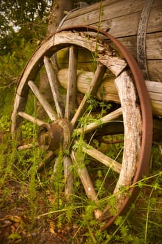 Old abandoned cartwheel and wooden wagon.