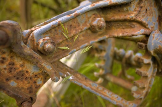 Detail of rusty bolt on old farming tool, grass slightly overgrowing.