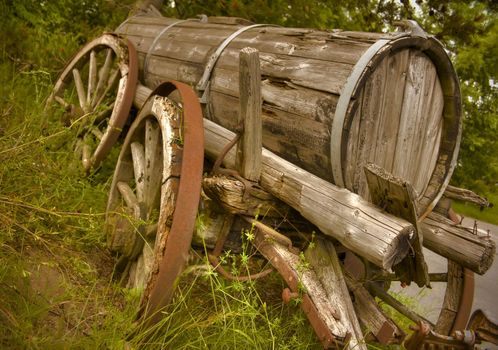 Old abandoned western wagon in warm evening light and overgrowing grass.