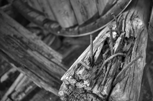 Rusty nails bent out of shape in wooden pole.