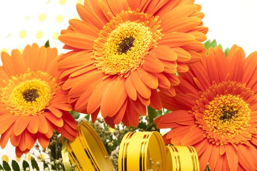 Bouquet of gerbera flowers isolated on white