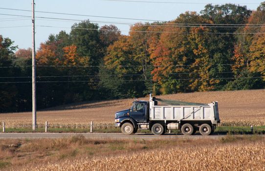 A dump truck speeding on a road during the harvest.

