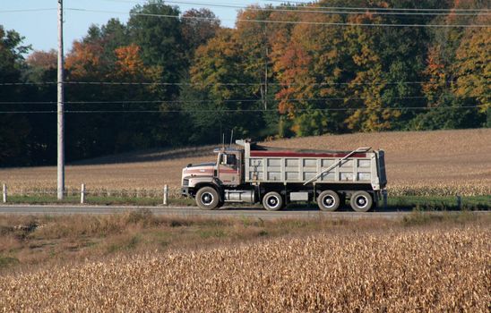 truck,moving,move,dump truck,road,autumn,fall,harvest,corn,field,sideview,pole,wire,wheel,in motion,post,posts,trees,forest,travel,horizontal
