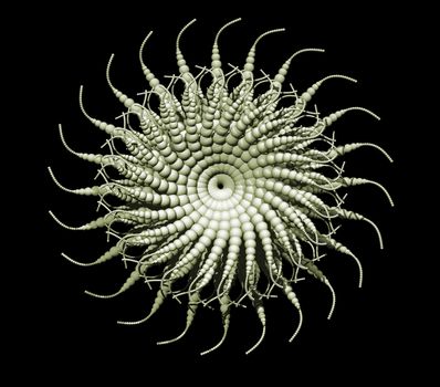 Abstract organic form on black background - 3d illustration