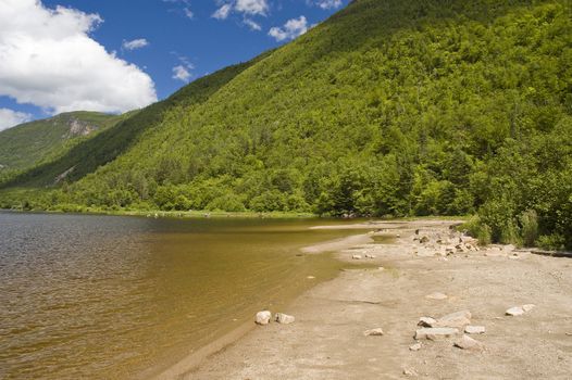 Desert river beach near mountains and forest