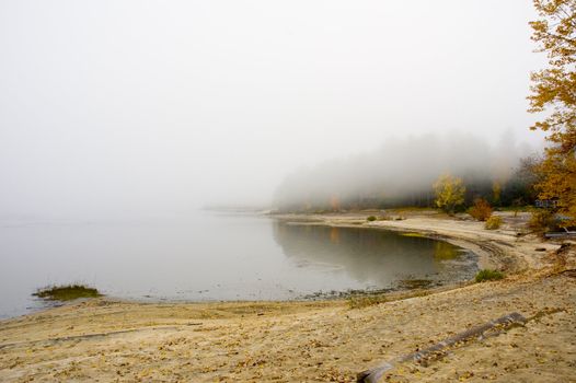 a foggy desert beach during the fall season