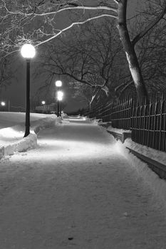 a desert snowy trail in a park at night