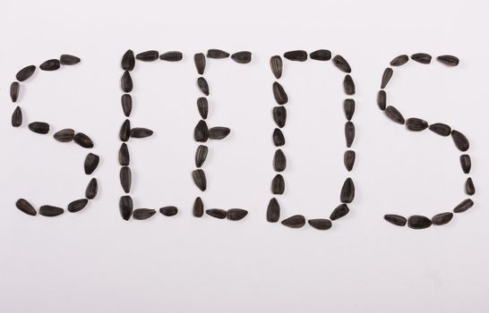 Word SEEDS written by sunflower's seeds