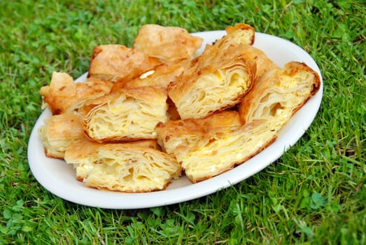 pieces of appetizing homemade baked cheese pie on white  plate over green grass
