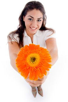 high angle view of woman showing flower with white background