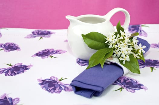 Romantic breakfast on colored background and contrasting