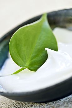 Natural face cream or skincare with green leaf