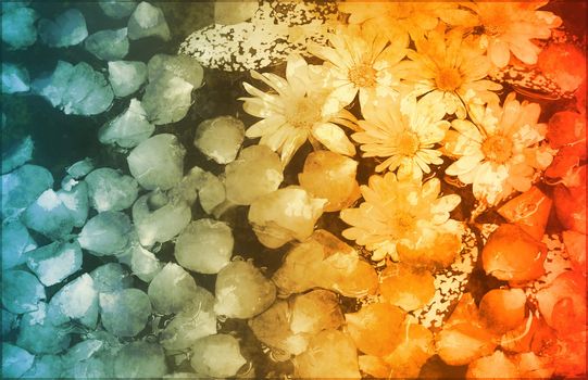 A Grunge Parchment Floral as Abstract Background