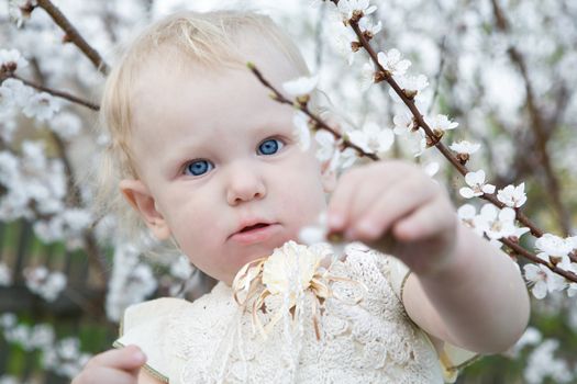 girl touching flowers of the tree