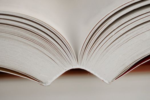 A close up shot of pages in a book