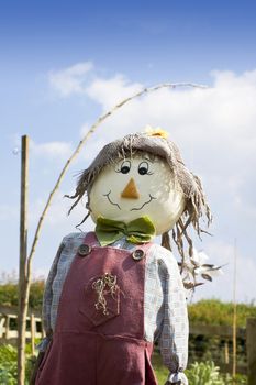 A smiling hand made scarecow stuffed with straw and wearing a red pair of dungarees with a blue checkered shirt , a green felt bow tie and a hesian hat. Set against a blue sky background, and vegetable garden.