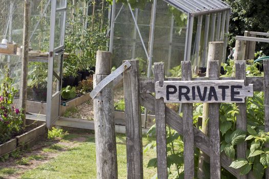 A wooden garden gate with a hand painted sign with the word private nailed to its front. The gate is the entrance to a vegetable garden and allotment located in rural Devonshire countryside, England. A glass greenhouse is visible to the background.