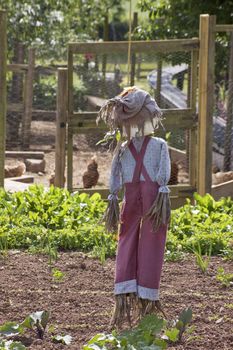 The rear view of a hand made full figure scarecrow stuffed with straw and wearing a red pair of dungarees with a blue checkered shirt  and a hessian hat. Set amongst a green vegetable garden, with a chicken coup visible to the background.