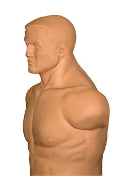 Martial Arts Body Punching Bag